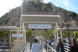 Arriving In Avalon