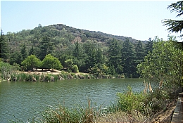 Franklin Canyon Lake 