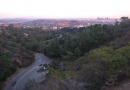 View From Griffith Park View From Griffith Park