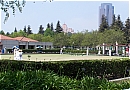 Lawn Bowling At Roxbury Park
